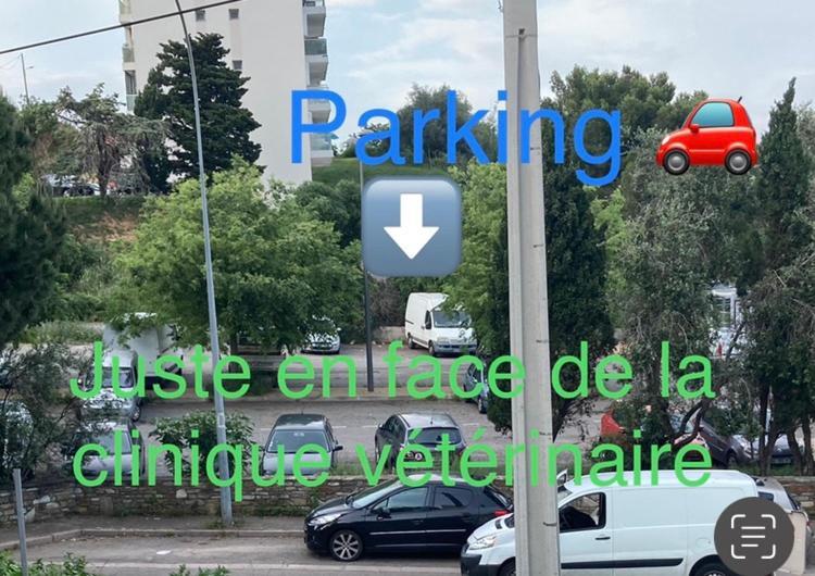 Location Chambre Avec Salle De Bain Et Partie Commune Sea View & Mountain View Renting 1 Of 3 Bedrooms With Shared Common Space 3 Bdrm Apt Not 1 Bdrm Plus Clime Ou Ac Bastia  Buitenkant foto